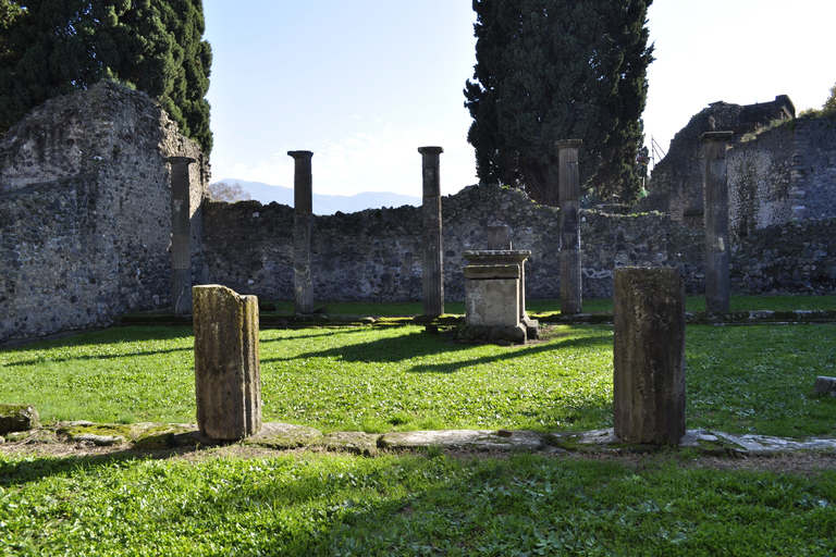 Da Napoli: Tour di Pompei e degustazione di vini con pranzo