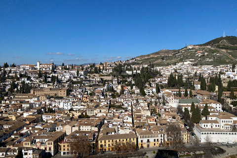 Granada: Tour guidato veloce dell&#039;Alhambra e del GeneralifeTour dell&#039;Alhambra in francese