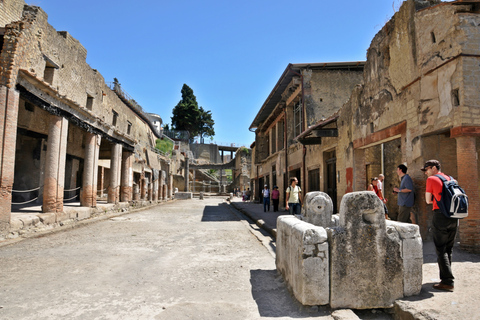 From Naples: Pompeii and Herculaneum Tour with Local Lunch