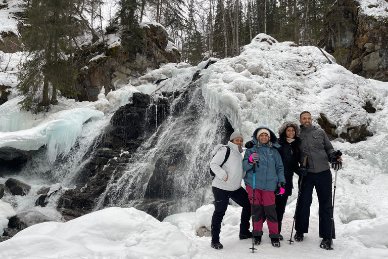 From Anchorage: Chugach State Park Winter Walking Tour