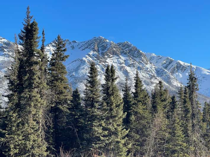 From Anchorage Chugach State Park Winter Walking Tour GetYourGuide   146 