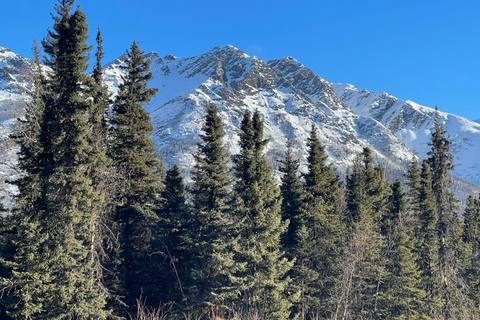From Anchorage: Chugach State Park Winter Walking Tour