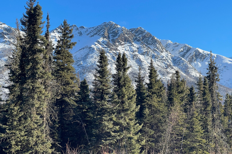 From Anchorage: Chugach State Park Winter Walking Tour
