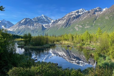 From Anchorage: Valley and Forest Hike with Naturalist Guide