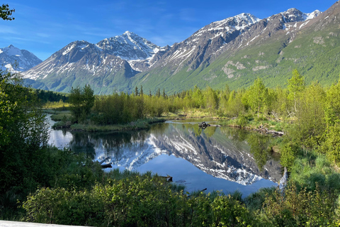 From Anchorage: Valley and Forest Hike with Naturalist Guide