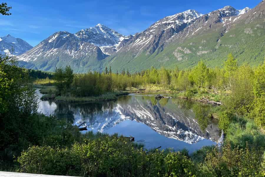 Ab Anchorage: Tal- und Waldwanderung mit Naturführer. Foto: GetYourGuide