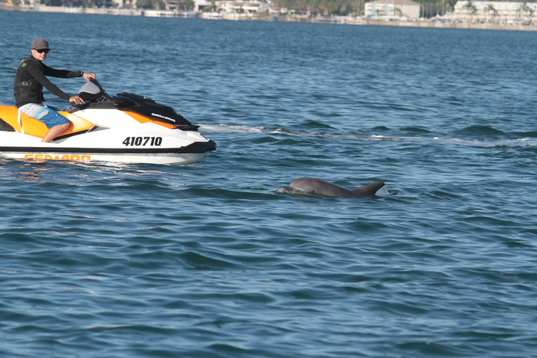 Gold Coast: 30 min Jet Ski Hire