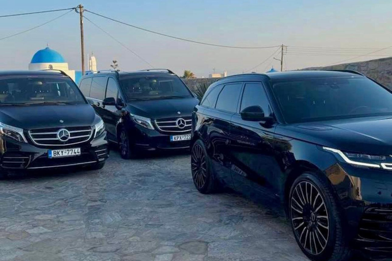 Visite de 4 heures à Mykonos en espagnol4 heures de visite de Mykonos en anglais