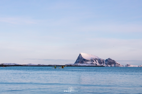 From Tromsø: Senja and Kvaløya Arctic Day Trip with Lunch