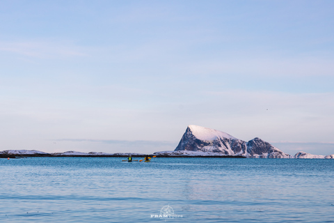 Von Tromsø aus: Senja und Kvaløya Arktischer Tagesausflug mit Mittagessen