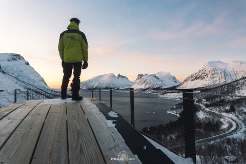 From Tromsø: Senja and Kvaløya Arctic Day Trip with Lunch