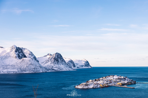 Z Tromsø: Jednodniowa wycieczka arktyczna Senja i Kvaløya z lunchem