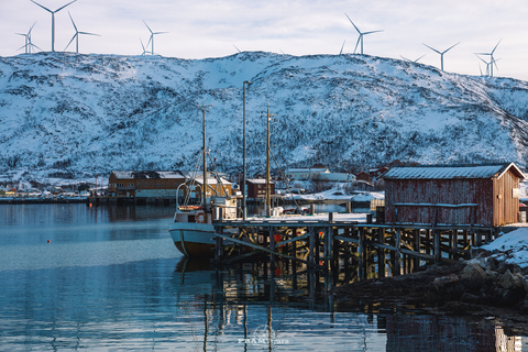 Z Tromsø: Jednodniowa wycieczka arktyczna Senja i Kvaløya z lunchem