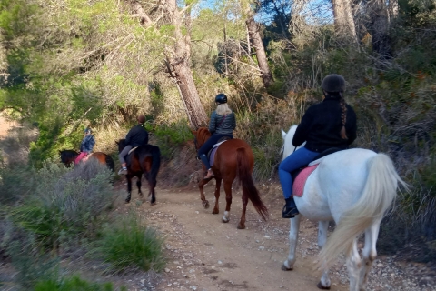 Mallorca : Randa Romantic Sunset Horse Ride With Drinks (en anglais)