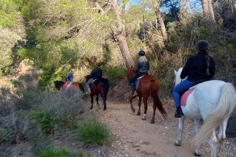 Mallorca: Randa romantische zonsondergang paardrijden met drankjes