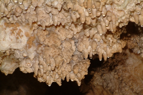 Cueva subterránea Entra en las cuevas más famosas de BudapestBudapest: paseo de 3 horas por las cuevas subterráneas