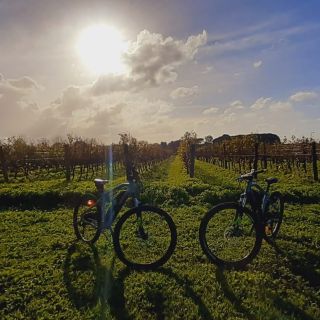 Rome: Appian Way Vineyard Wine Tasting E-Bike Tour