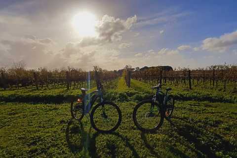 Rome: Appian Way Vineyard Wine Tasting E-Bike Tour