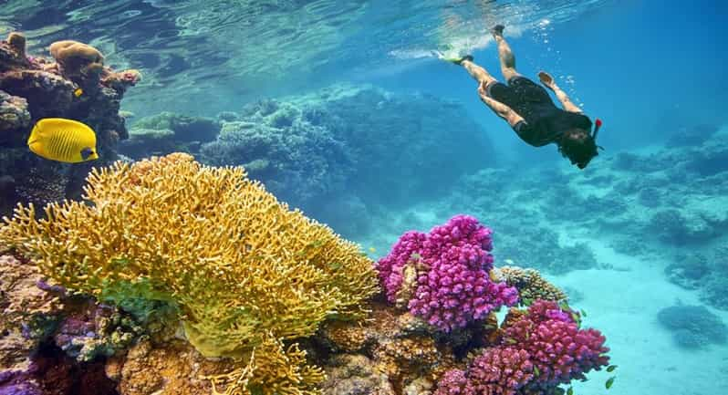 Hurghada Giftun Islands Snorkeling Boat Tour With Lunch Getyourguide