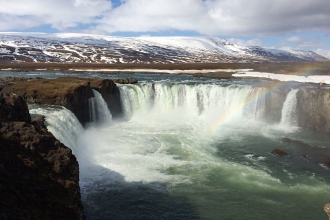 D'Akureyri: visite guidée du lac Mývatn et de la cascade de Goðafoss