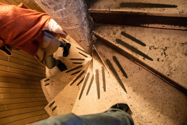 Ciudad del Vaticano: basílica, cúpula y tumbas papales Tour madrugador