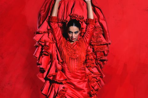 Sevilla: Sevillassa: Live Flamenco Dancing Show Ticket at the Theater (lippu teatteriin)