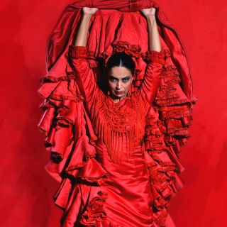 Севилья: билет на живое танцевальное шоу фламенко в театре