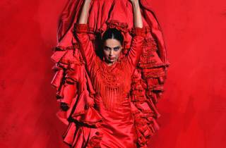 Sevilla: Ticket für Live-Flamenco-Tanzshow im Theater