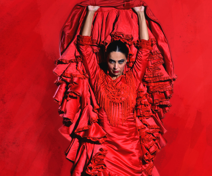 Seville: Live Flamenco Dancing Show Ticket at the Theater