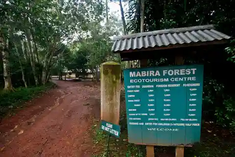 Jinja: Day Tour and source of the Nile Visit