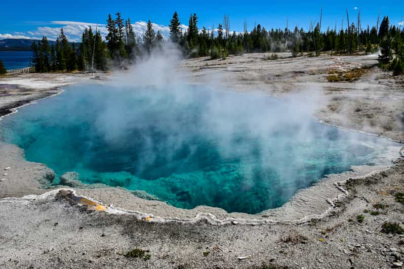 From Cody: Full-Day Yellowstone National Park Tour | GetYourGuide