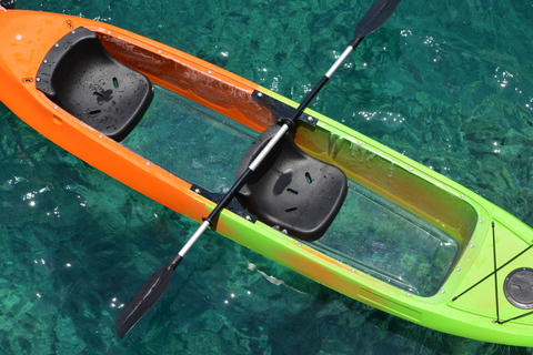 Maui: Self Guided Clear Bottom Kayak Tour