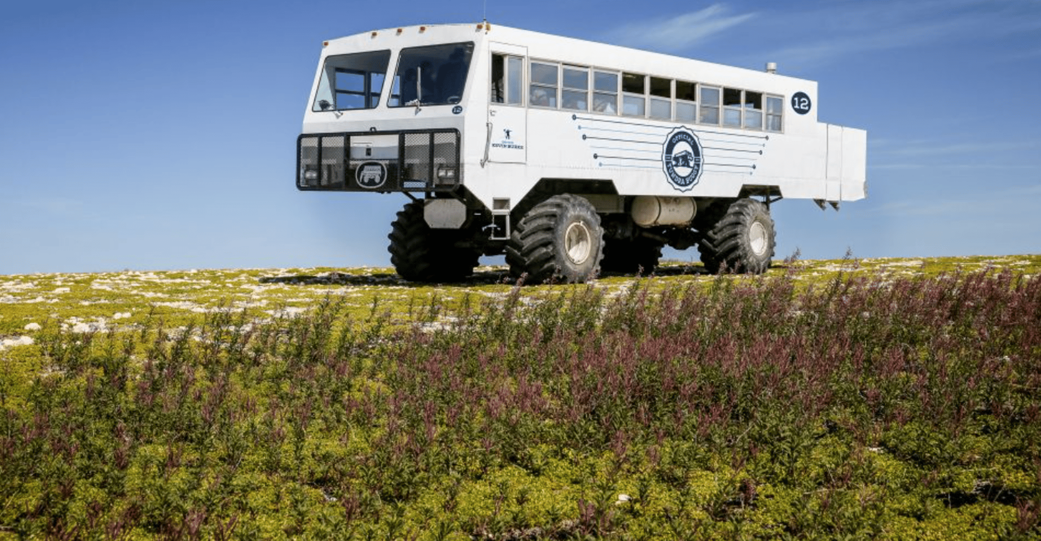 Churchill, Exclusiva excursión de un día a Tundra Buggy - Hizvo