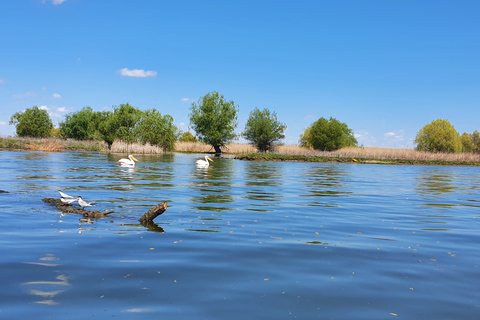 De Bucarest: voyage privé de 2 jours dans le delta du Danube et croisière