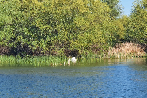 De Bucarest: voyage privé de 2 jours dans le delta du Danube et croisière