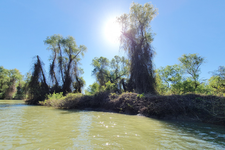 De Bucarest: voyage privé de 2 jours dans le delta du Danube et croisière