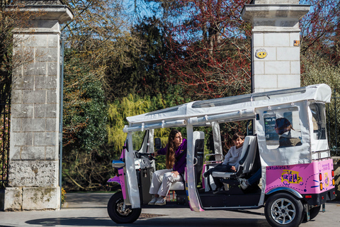 Angers: Utforska stadskärnan med elektrisk tuk-tuk