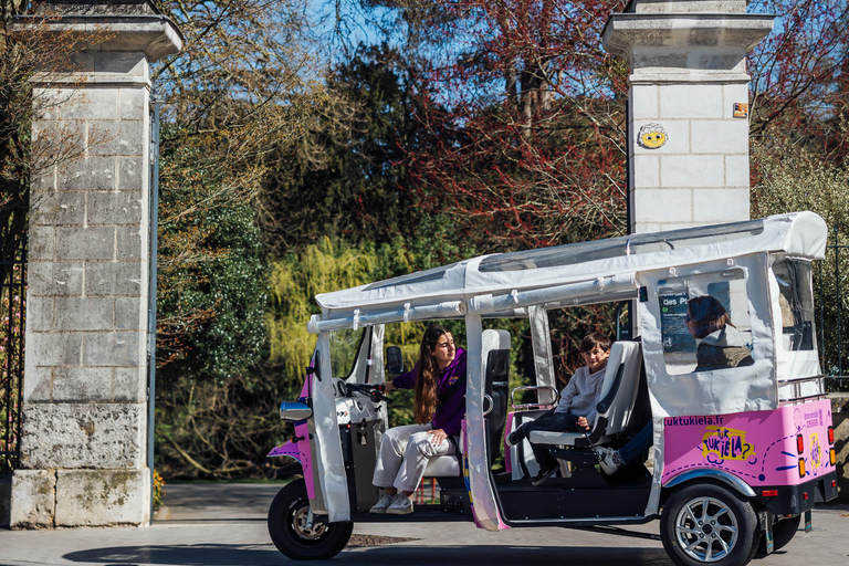 Angers: Utforska stadskärnan med elektrisk tuk-tuk
