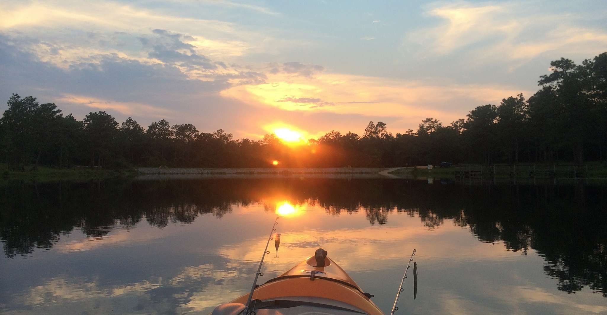 Austin, Sunset Bat Watching Kayak Tour - Housity