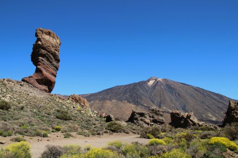 Tenerife: excursion d'une journée au volcan du parc naturel du Teide