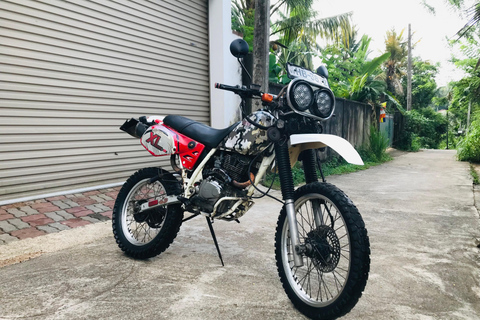 Tour guiado particular de 1 dia de bicicleta por trilhas até as Cataratas