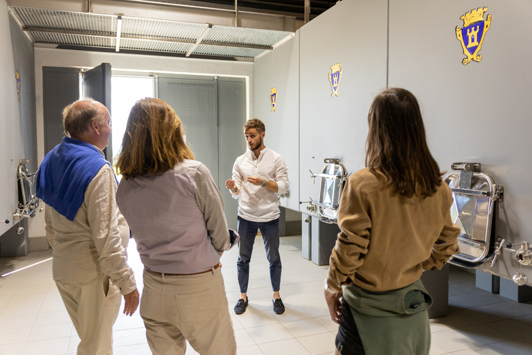 Saint-Émilion: tour dei vigneti di Bordeaux e degustazione di viniSaint-Émilion: tour dei vigneti di Bordeaux e degustazione in inglese