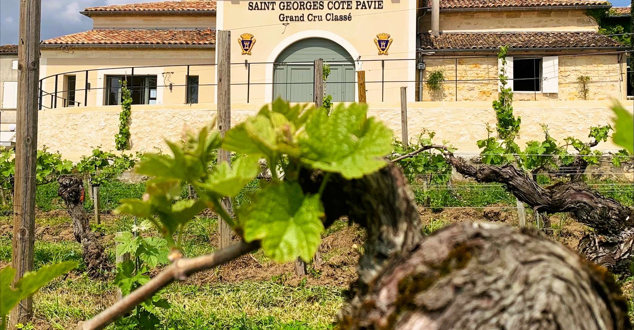 Saint-Émilion, Bordeaux Vineyard Tour and Wine Tasting - Housity