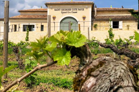 Saint-Émilion: Bordeaux vingårdstur och vinprovning