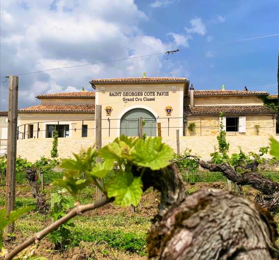 Saint-Émilion: Bordeaux Vineyard Tour and Wine Tasting