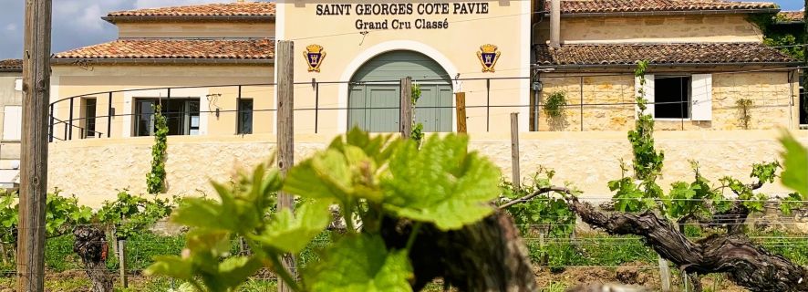 Saint-Émilion: Bordeaux vingårdstur og vinsmaking