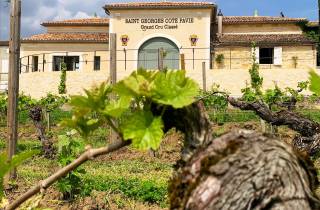 Saint-Émilion: Bordeaux Weinbergstour und Weinverkostung