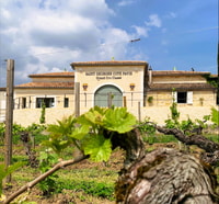 Saint-émilion, Bordeaux Vineyard Tour e degustazione di vini - Housity