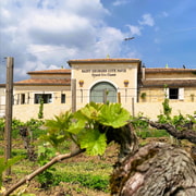 Saint-Émilion: Bordeaux Weinbergstour und Weinverkostung