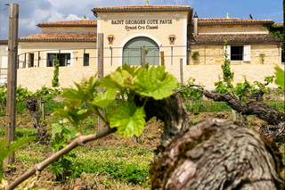 Saint-Émilion: Bordeaux Vineyard Tour and Wine Tasting